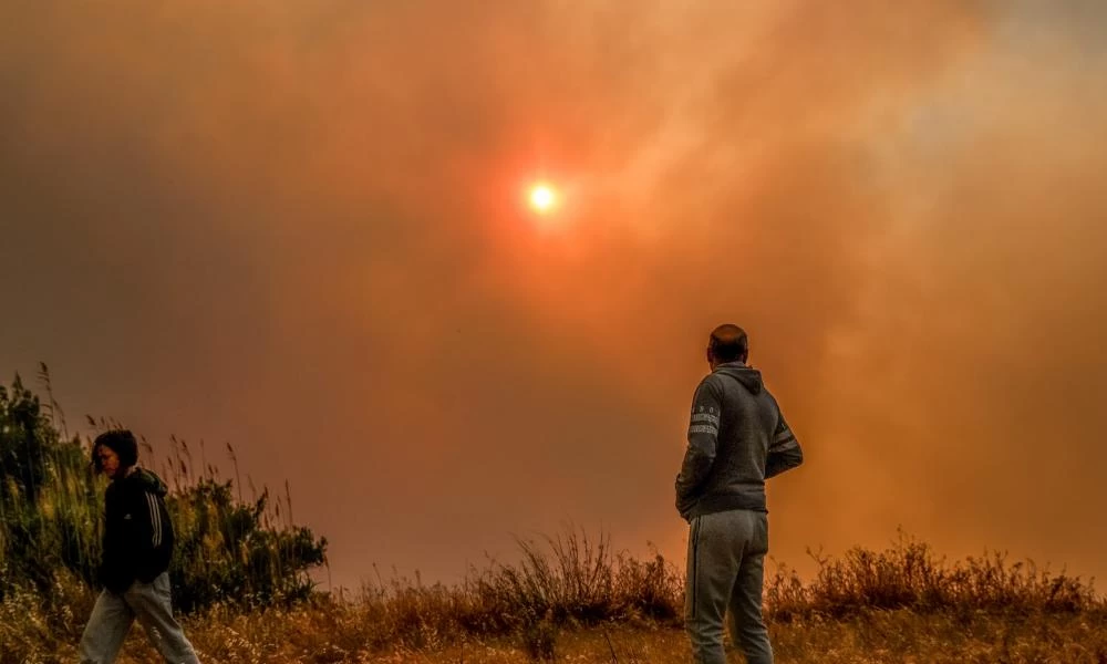 Στο πλευρό των πυρόπληκτων η Ελληνική Ψυχιατρική Εταιρεία: Δωρεάν υπηρεσίες τηλεψυχιατρικής